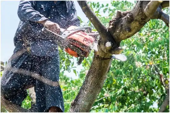 tree services Prineville